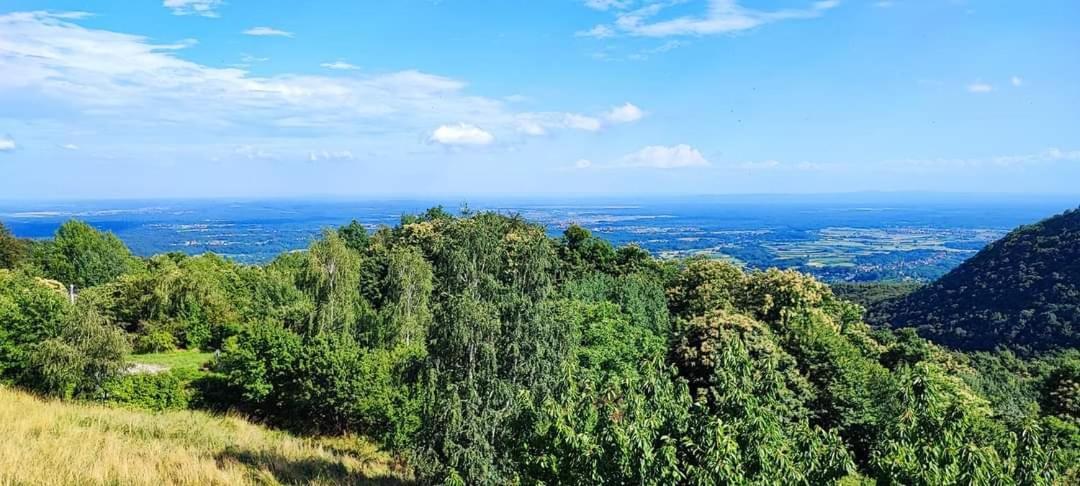 Kuca Za Odmor Poljanica Okicka Vila Jastrebarsko Exterior foto